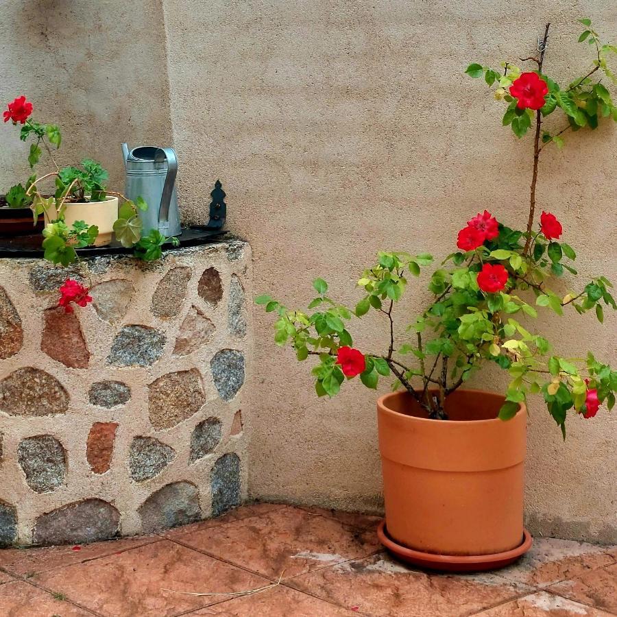 Casa Rural Abuela Reme El Fresno Екстериор снимка